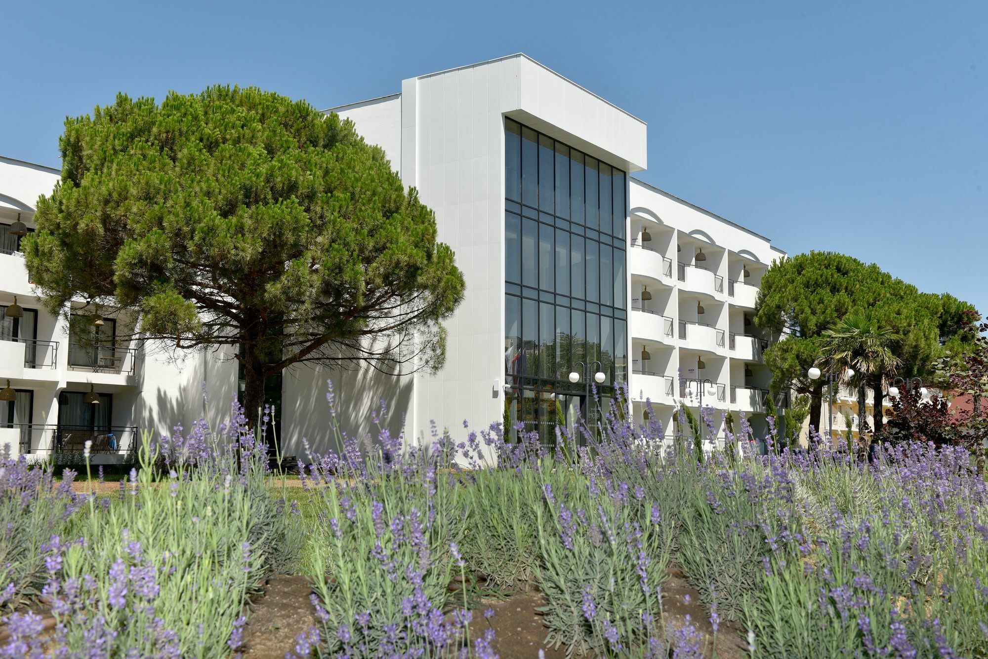 Ihotel Sunny Beach Dış mekan fotoğraf